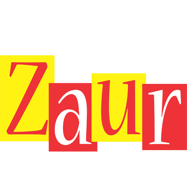 Zaur errors logo
