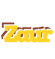 Zaur hotcup logo