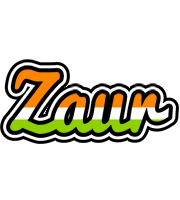 Zaur mumbai logo