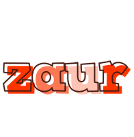 Zaur paint logo