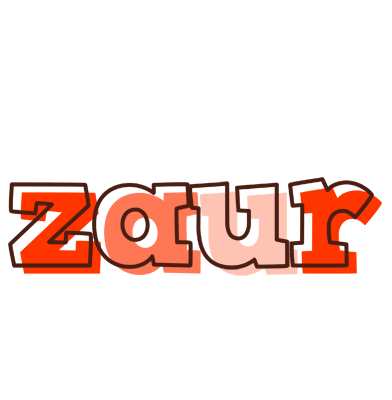 Zaur paint logo