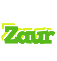 Zaur picnic logo