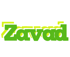 Zavad picnic logo