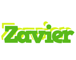 Zavier picnic logo