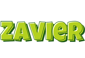 Zavier summer logo