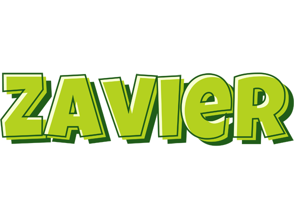 Zavier summer logo