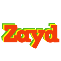 Zayd bbq logo