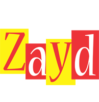 Zayd errors logo