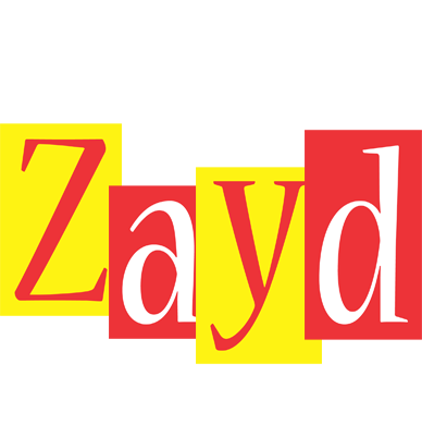 Zayd errors logo