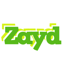 Zayd picnic logo