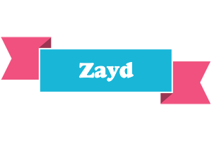 Zayd today logo