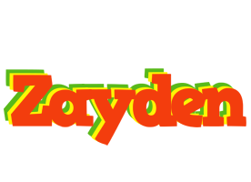Zayden bbq logo
