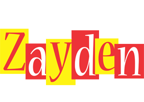 Zayden errors logo