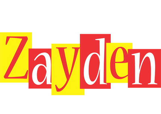 Zayden errors logo