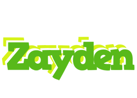 Zayden picnic logo