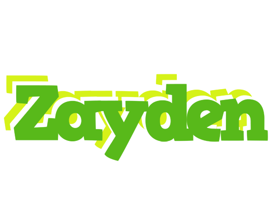 Zayden picnic logo