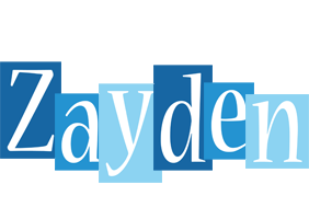 Zayden winter logo