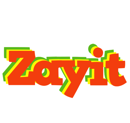 Zayit bbq logo