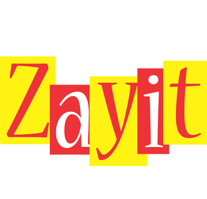 Zayit errors logo