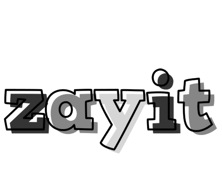 Zayit night logo