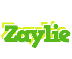 Zaylie picnic logo