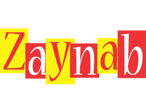 Zaynab errors logo