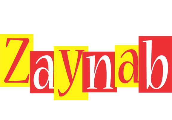Zaynab errors logo