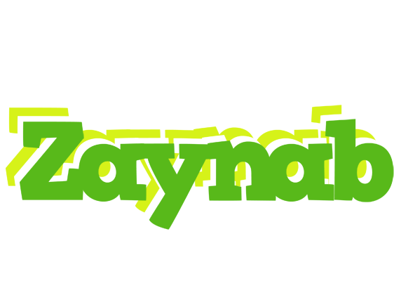 Zaynab picnic logo