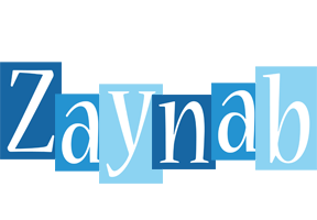 Zaynab winter logo