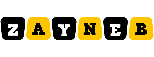 Zayneb boots logo