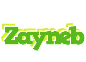 Zayneb picnic logo