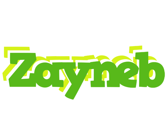 Zayneb picnic logo