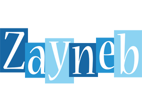 Zayneb winter logo