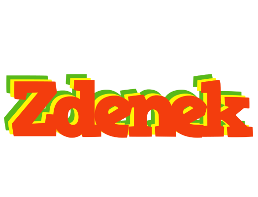 Zdenek bbq logo