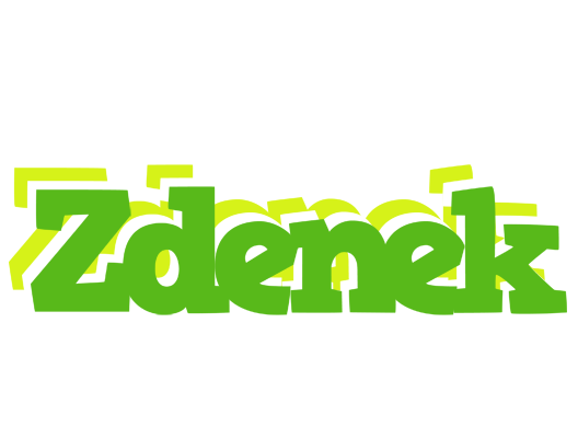 Zdenek picnic logo