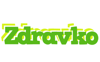 Zdravko picnic logo