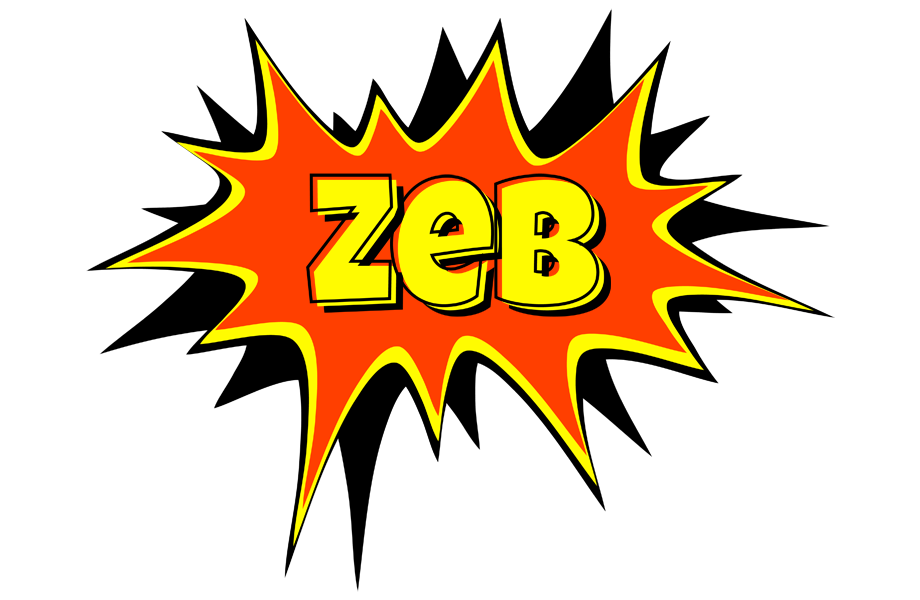 Zeb bazinga logo