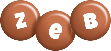 Zeb candy-brown logo