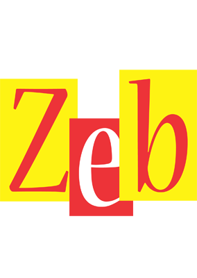 Zeb errors logo
