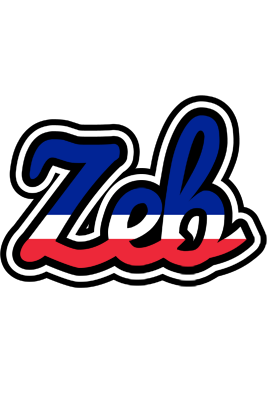 Zeb france logo