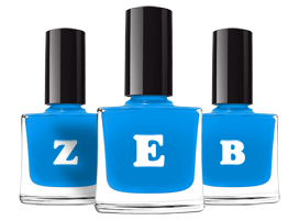 Zeb glossy logo