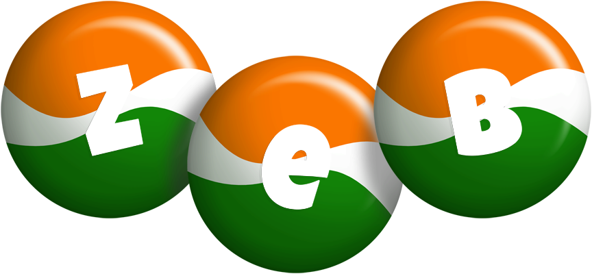 Zeb india logo