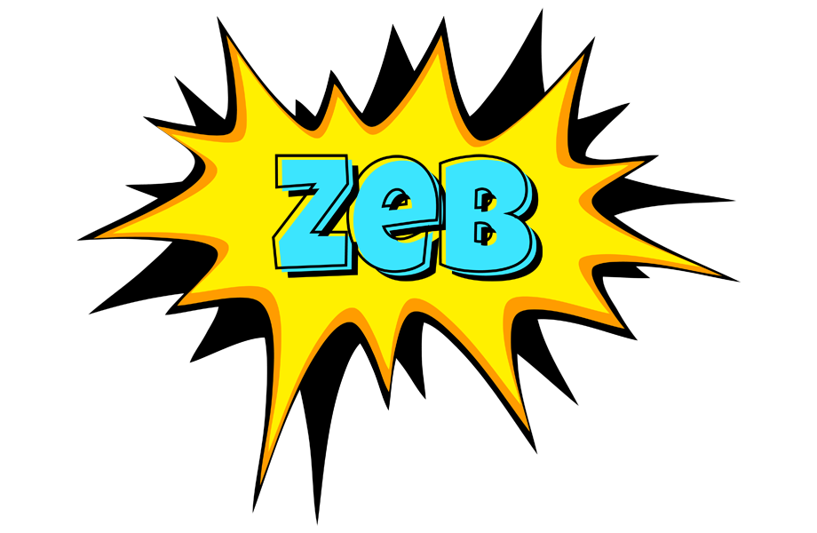 Zeb indycar logo