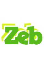 Zeb picnic logo