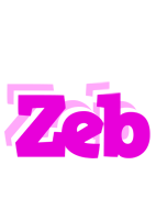 Zeb rumba logo