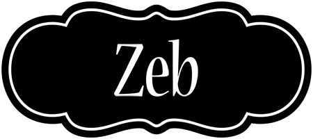 Zeb welcome logo