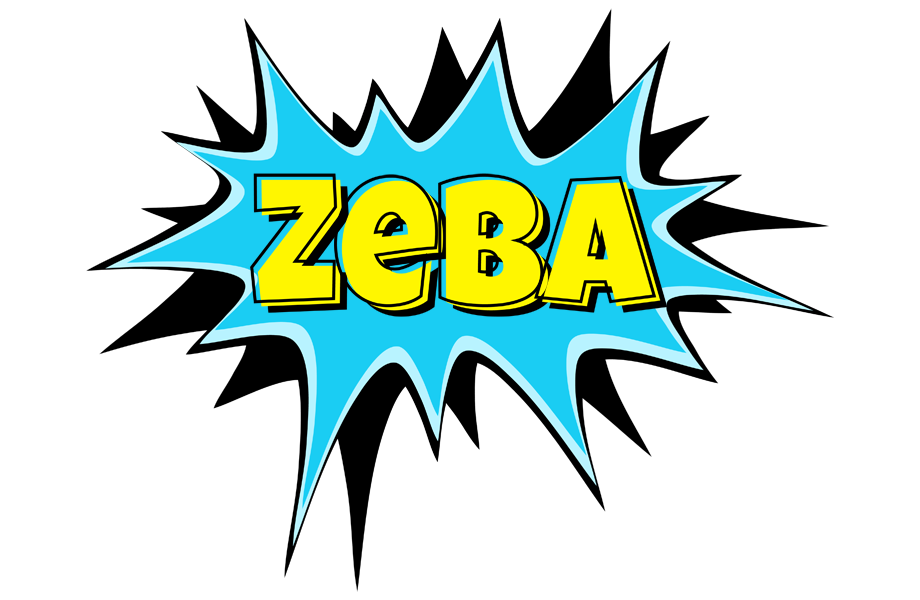 Zeba amazing logo