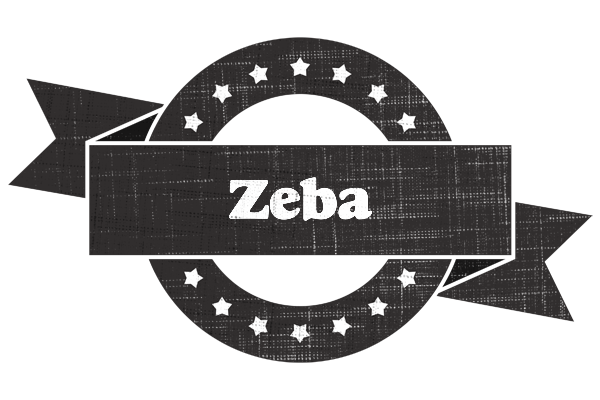 Zeba grunge logo