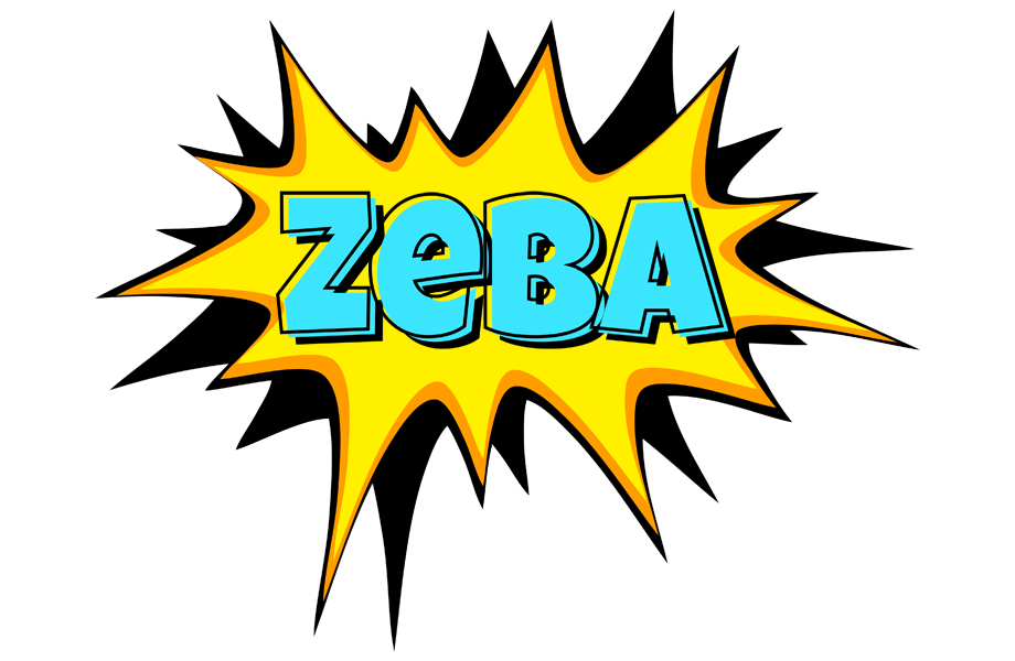 Zeba indycar logo