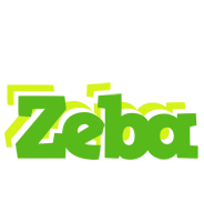 Zeba picnic logo